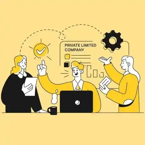 /Private Limited Company